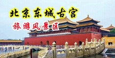 韩国乱阴黄片儿中国北京-东城古宫旅游风景区